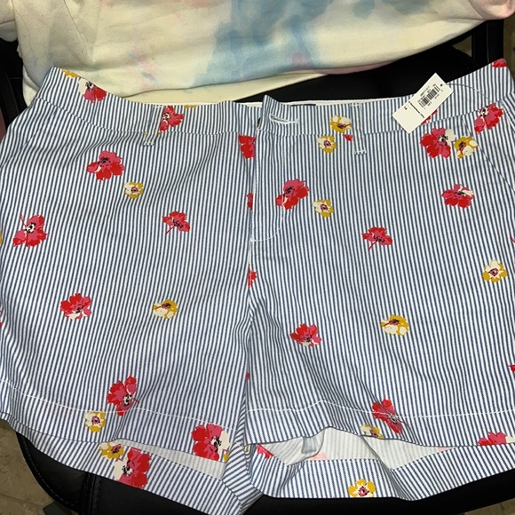 Shorts - Picture 1 of 2